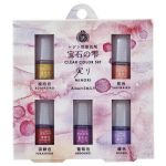 PADICO - Colorant pour Résine - Traditional Japan Red (MINORI) - Set de 5
