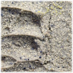 LUKAS - Structure Paste Pumice Mortar - 2270 - 250ml & 500ml