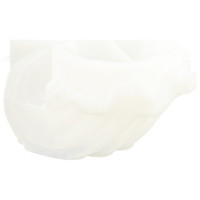 JESMONITE - Moule en Silicone - Pearl Oyster Coquillage - 13,3x13x6,7cm