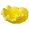 JESMONITE - Silicone Mould - Pearl Oyster Shell - 13,3x13x6,7cm