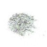JESMONITE - Paillettes - Argent - 15g
