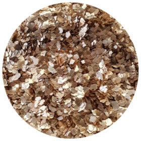 JESMONITE - Eco Glitter - Gold - Large - 15g