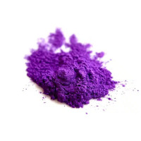 RESLIN - Pigment Fluo - Violet - 10g