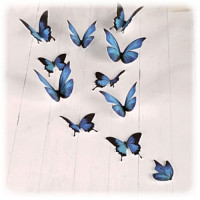 GRAINE CREATIVE - PLASTIQUE FOU - 30 Sheets - White (Bulk Pack)
