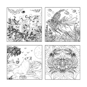 PHOENIX - Coloring Board - Set de 4 Cartons à Peindre Pré-dessinés - 25x25cm - Marine