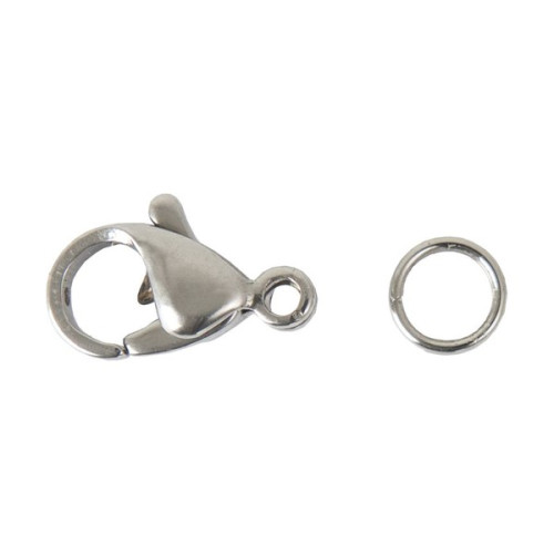 RICO - Crochets Bijoux Acier Inox - 10MM (2)