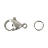 RICO - Crochets Bijoux Acier Inox - 10MM (2)