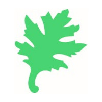 ARTEMIO - XS Oak Leaf Punch - 1,5 cm