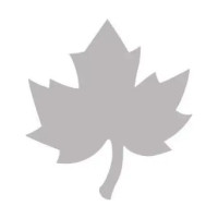 ARTEMIO - L Maple Leaf Punch - 5 cm