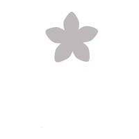 ARTEMIO - Perforatrice L Fleur Pétales - 5 cm