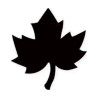 ARTEMIO - L Maple Leaf Punch - 5 cm