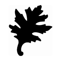 ARTEMIO - Perforatrice S Feuille de Chêne - 2,5 cm