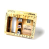 Winsor & Newton - Set Calligraphie Complet