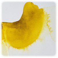Winsor & Newton - Fiel de Boeuf Liquide - 75ml