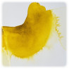 Winsor & Newton - Ox Gall Liquid - 75ml