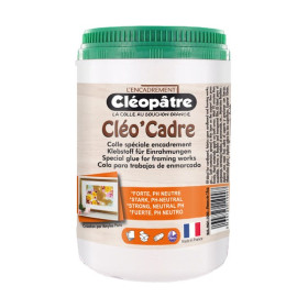 Cléopâtre - Cléo'Cadre - Colle d'Encadrement Vinylique - 1 kg