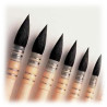Pinceaux pour Calligraphie