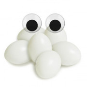 Plastic Accessories