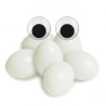 Accessoires en Plastique