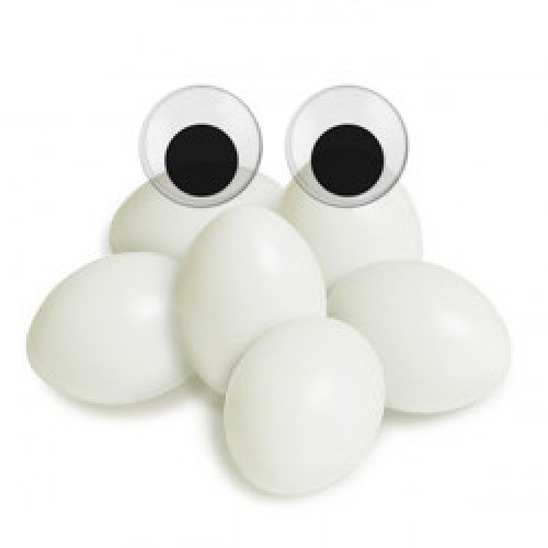 Accessoires en Plastique