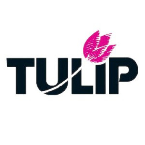 TULIP